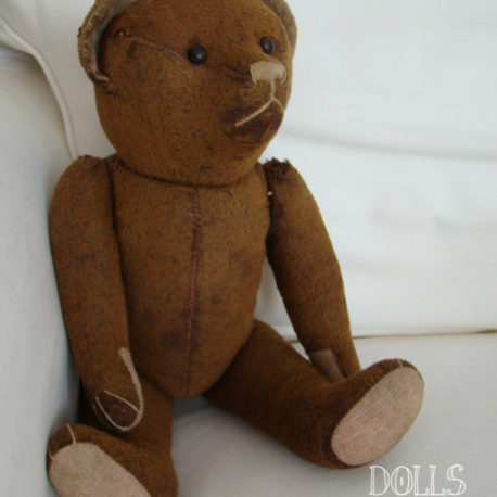 Annonces ours ancien d'occasion - Collection